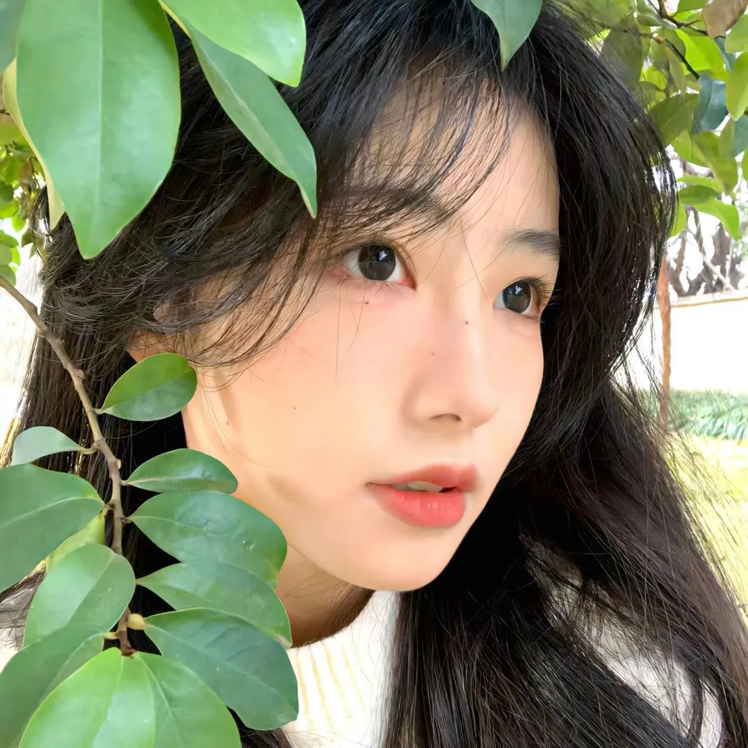 寻找爱丽丝